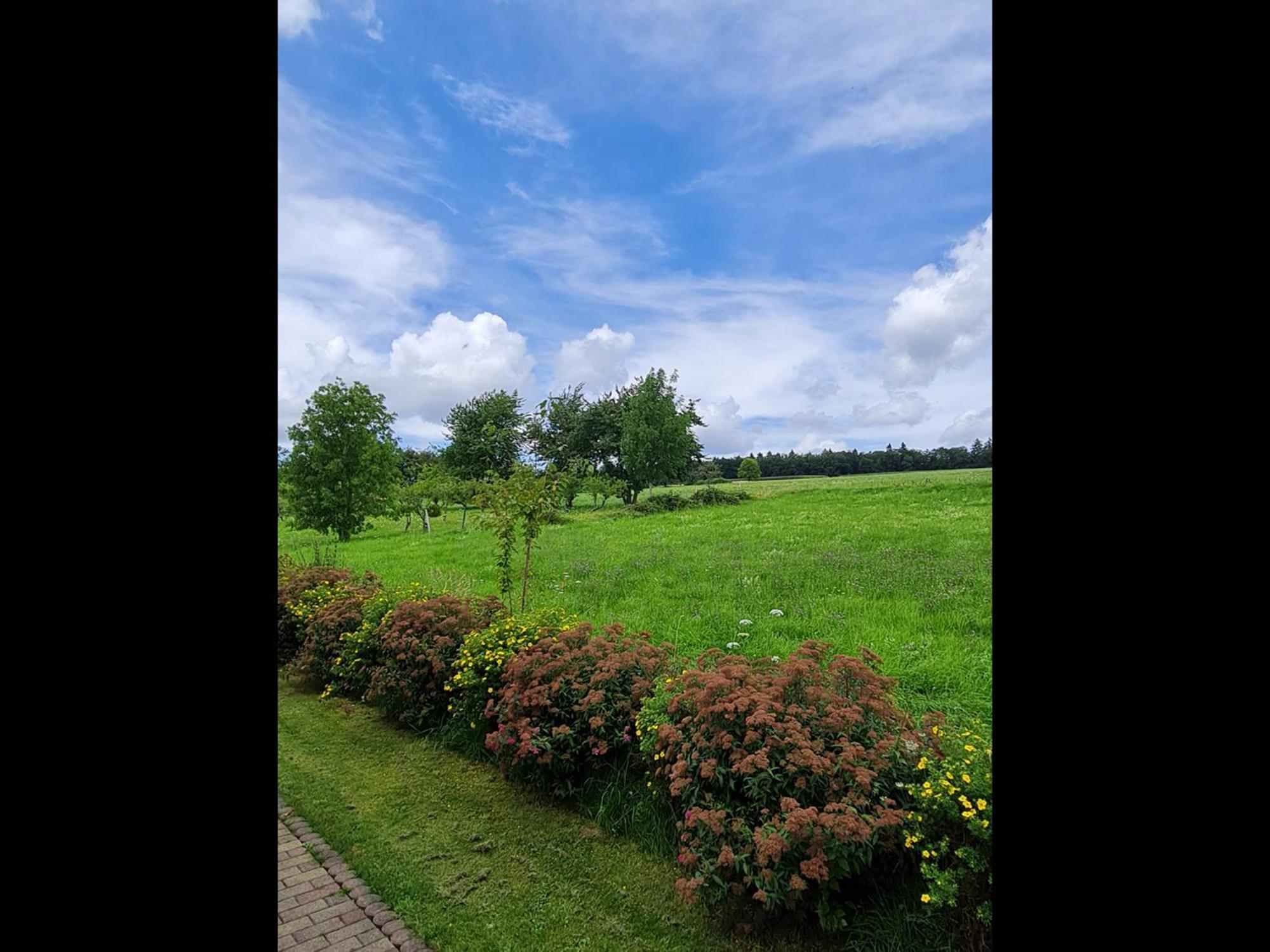 Neu Ferienwohnung Odenwald Rimhorn Extérieur photo
